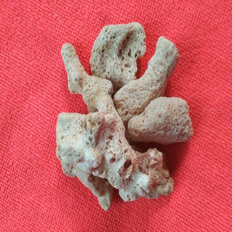  改善水質(zhì) 平衡PH 魚(yú)缸濾材用珊瑚骨