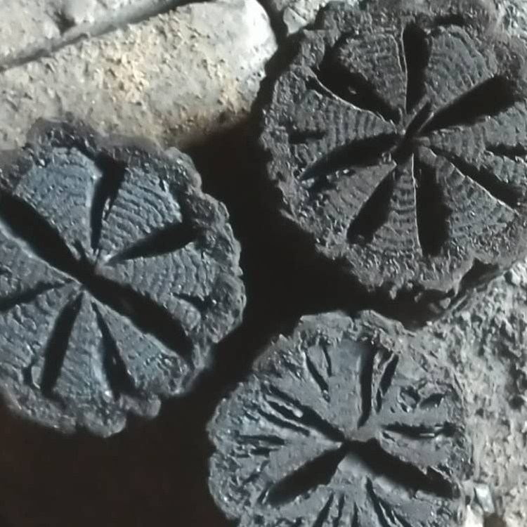 烤肉用菊花炭耐燒硬碳無(wú)煙無(wú)味室內(nèi)燒烤